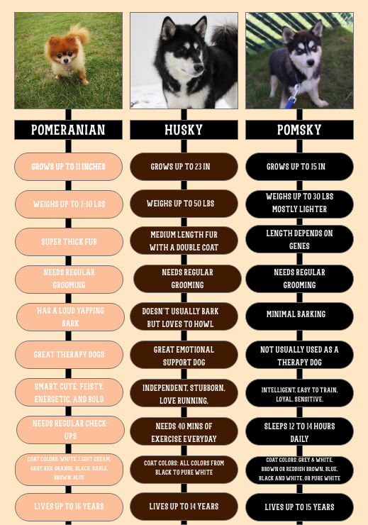 husky types of fur