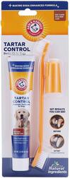 Dog tooth brush with toothpaste