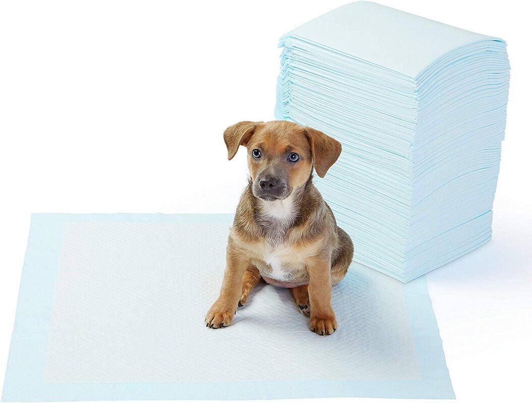 potty pee pads for dogs