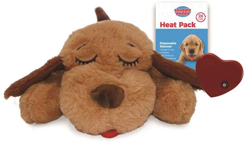 Stuffed animal dog next to a box of disposable warmer heat pack. 