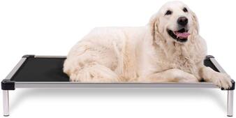golden retriever laying on black dog bed