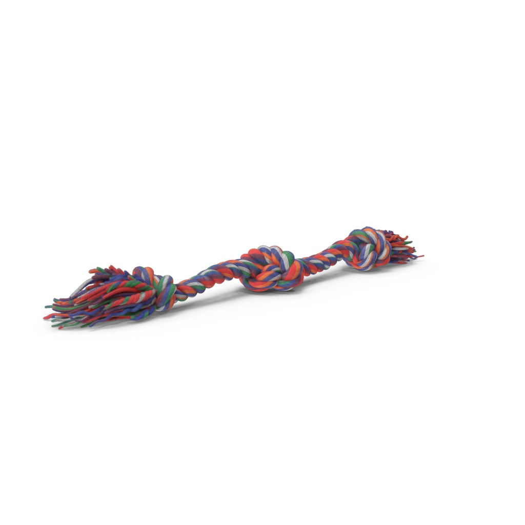 3D image of a dog rope