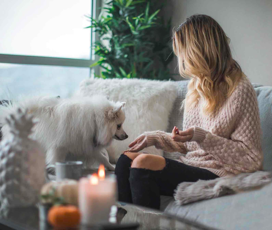 Woman feeding a white furry dog some treats while sitting on the couch in a furry pink sweater